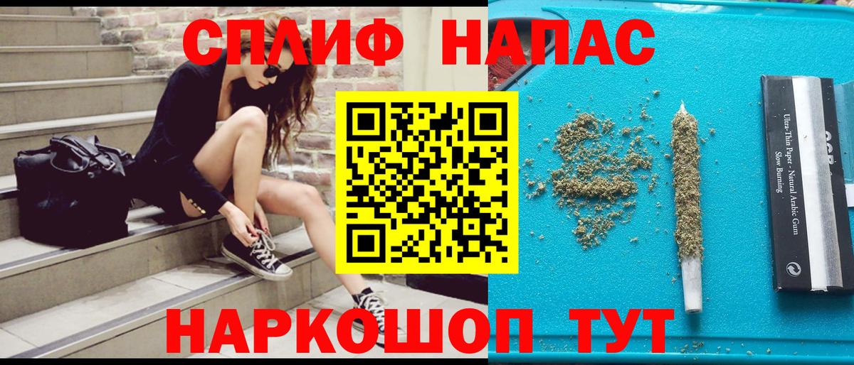 Конопля MAZAR  Бошки Шишки SATIVA & INDICA  Котовск  Вход с VPN  Бошки марихуана план 